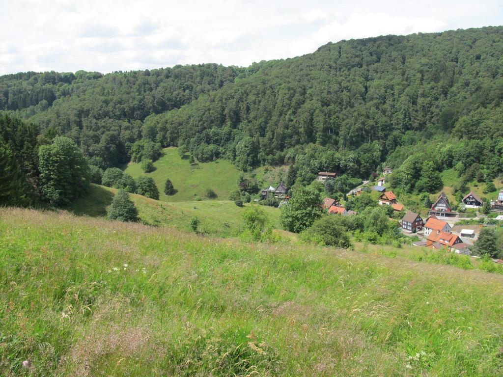 شقة Hexenstieg House Lerbach Osterode am Harz المظهر الخارجي الصورة